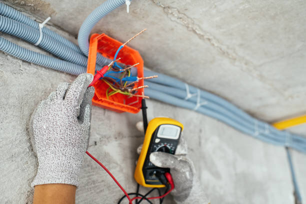 Best Electrical System Inspection  in Colchester, IL